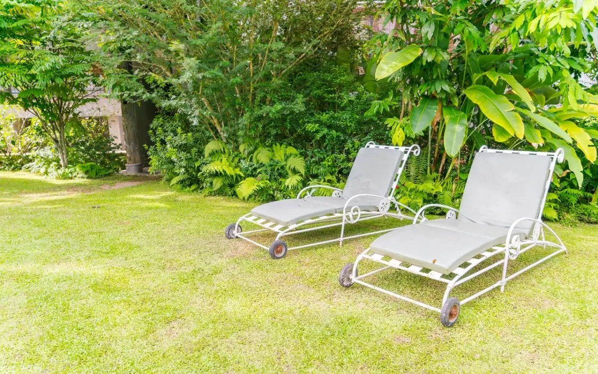 Trucchi e consigli per sostenere le piante e farle crescere sane in casa e in giardino