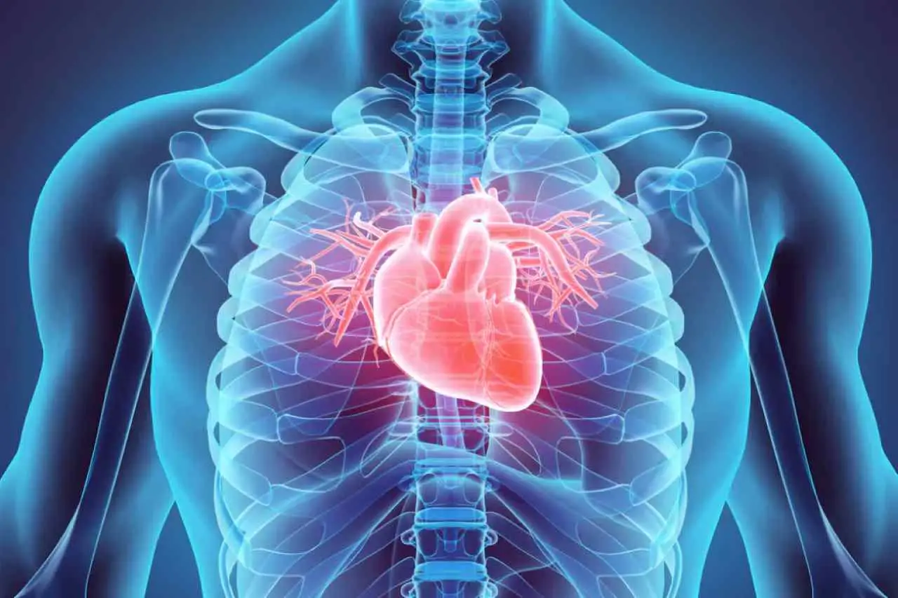10 alimenti antinfiammatori: ecco la lista aggiornata per proteggere cuore e articolazioni