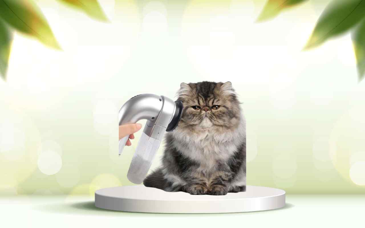 Dì addio ai peli di animali in casa: scopri SpazzolAmica per una pulizia facile